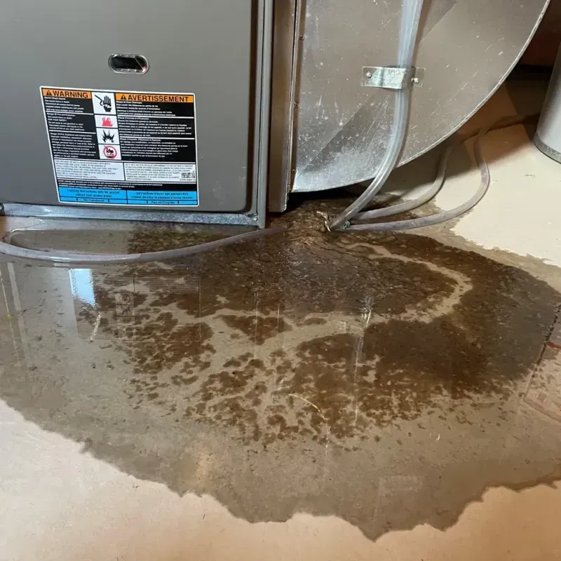 Appliance Leak Cleanup in Lee, NH